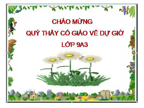 Bài 22. Liên kết câu và liên kết đoạn văn (Luyện tập)