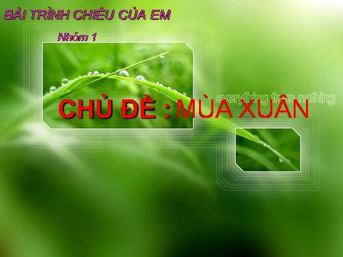 Mùa xuân