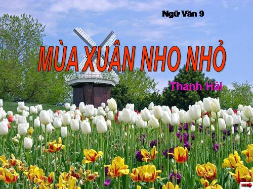 Bài 23. Mùa xuân nho nhỏ