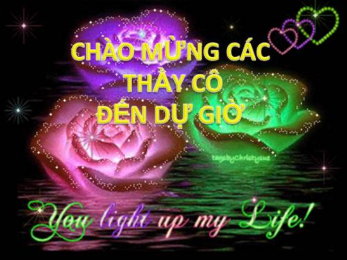 Bài 29. Rô-bin-xơn ngoài đảo hoang