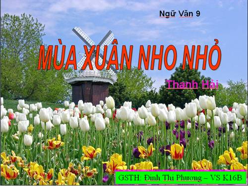 Bài 23. Mùa xuân nho nhỏ
