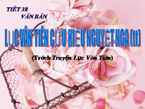Bài 8. Lục Vân Tiên cứu Kiều Nguyệt Nga