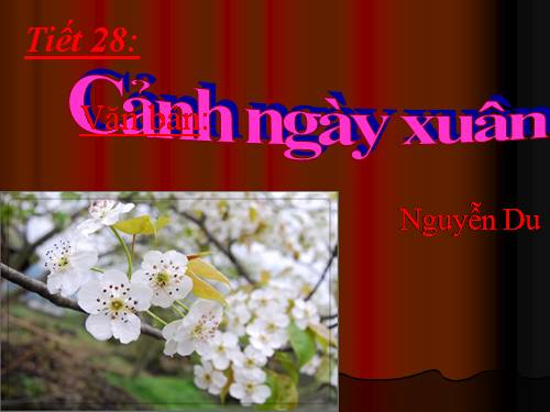 Bài 6. Cảnh ngày xuân