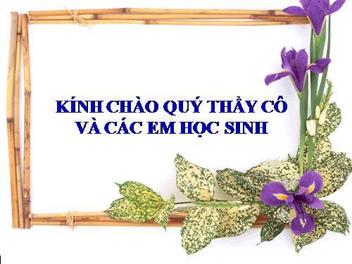 Bài 29. Rô-bin-xơn ngoài đảo hoang