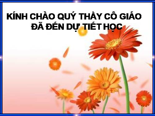 Bài 29. Rô-bin-xơn ngoài đảo hoang
