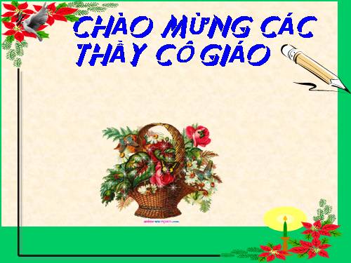 Bài 31. Con chó Bấc