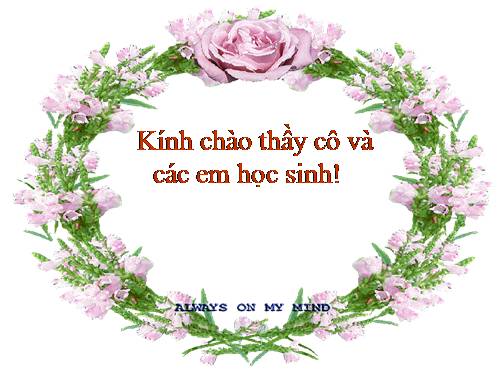 Bài 15. Chiếc lược ngà