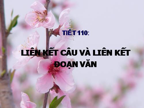 Bài 21. Liên kết câu và liên kết đoạn văn