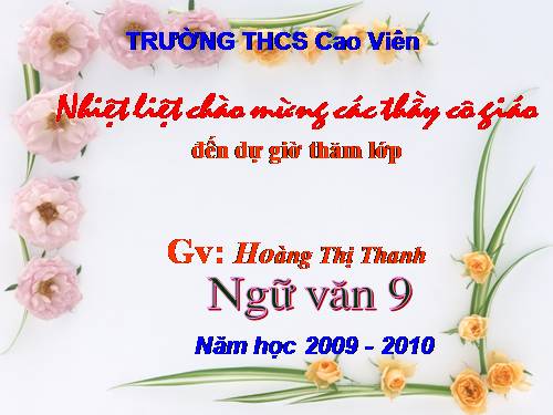 Bài 29. Rô-bin-xơn ngoài đảo hoang