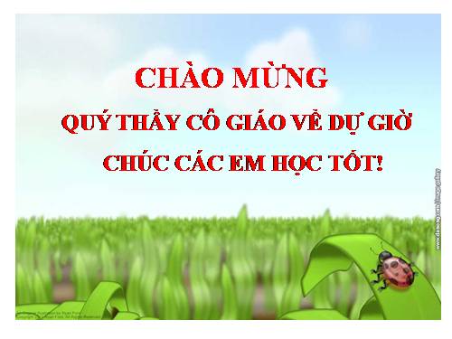 Bài 12. Tổng kết về từ vựng (Luyện tập tổng hợp)