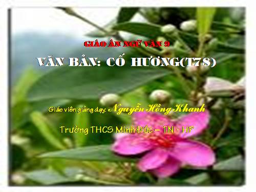 Bài 16. Cố hương