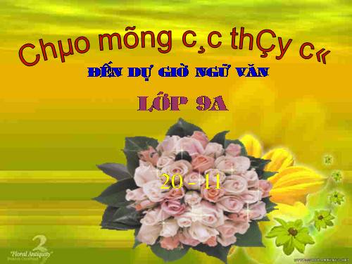 Bài 11. Tổng kết về từ vựng (Từ tượng thanh, tượng hình, một số phép tu từ từ vựng)