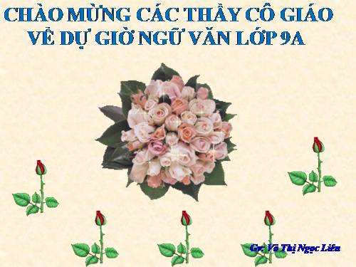 Bài 12. Tổng kết về từ vựng (Luyện tập tổng hợp)