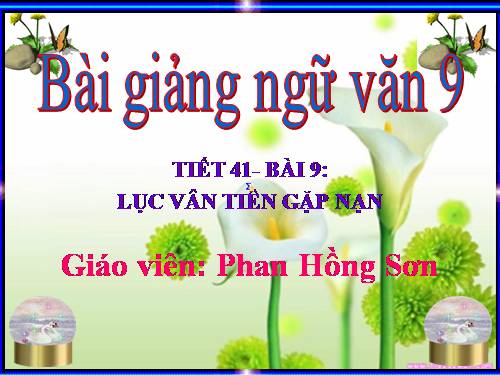 Bài 9. Lục Vân Tiên gặp nạn