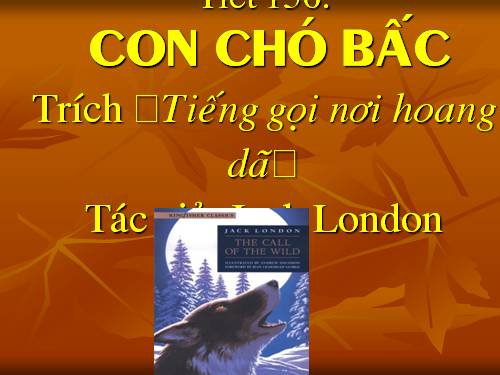 Bài 31. Con chó Bấc