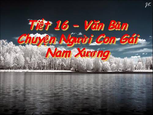 Bài 4. Chuyện người con gái Nam Xương