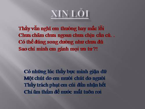 Xin lổi