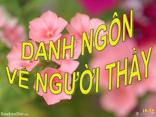 Danh ngôn về người Thầy.