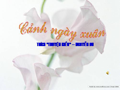 Bài 6. Cảnh ngày xuân