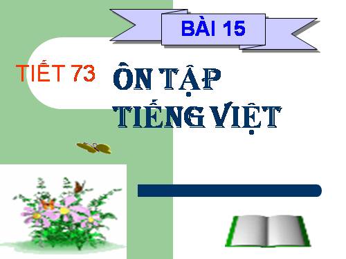 Bài 14. Ôn tập phần Tiếng Việt (Các phương châm hội thoại)