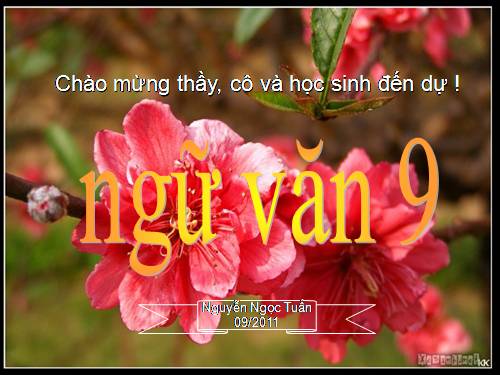 Bài 4. Chuyện người con gái Nam Xương