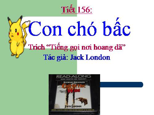 Bài 31. Con chó Bấc