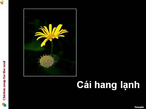 Cái hang lạnh