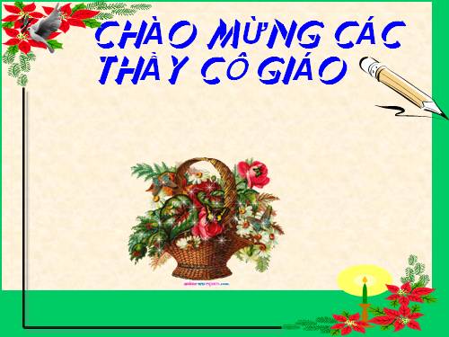 Bài 31. Con chó Bấc