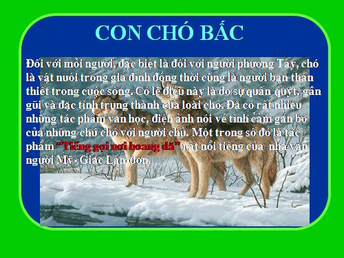 Bài 31. Con chó Bấc