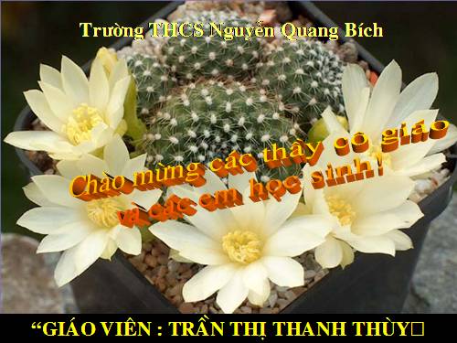 Bài 5. Chuyện cũ trong phủ chúa Trịnh