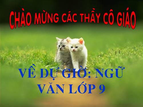 Bài 30. Ôn tập về truyện