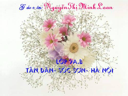 Bài 27. Ôn tập phần Tiếng Việt (Khởi ngữ, Các thành phần biệt lập,...)