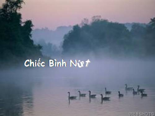 chiec binh nut