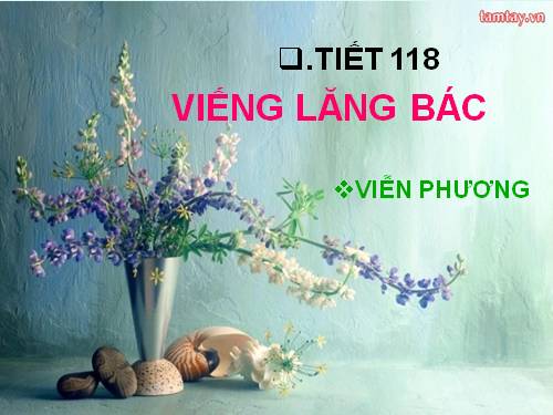 Bài 23. Viếng lăng Bác