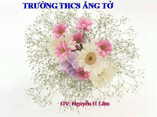 Bài 28. Chương trình địa phương (phần tập làm văn) (tiếp theo)