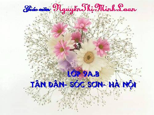 Bài 23. Mùa xuân nho nhỏ