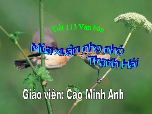 Bài 23. Mùa xuân nho nhỏ