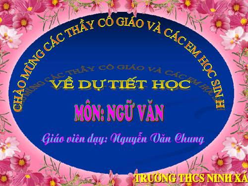 Bài 4. Sự phát triển của từ vựng