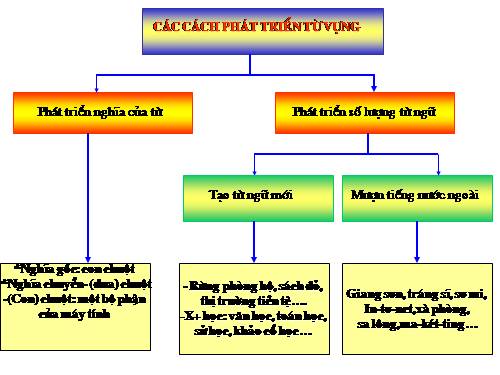 Bài 10. Tổng kết về từ vựng (Sự phát triển của từ vựng,... trau dồi vốn từ)