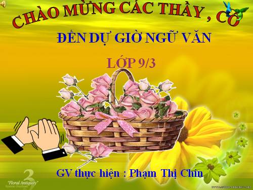 Bài 11. Tổng kết về từ vựng (Từ tượng thanh, tượng hình, một số phép tu từ từ vựng)