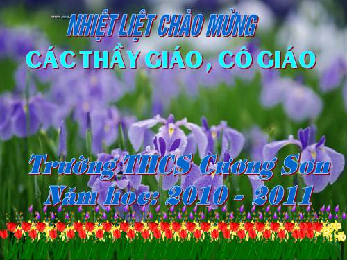 chan dung tac gia.ppt