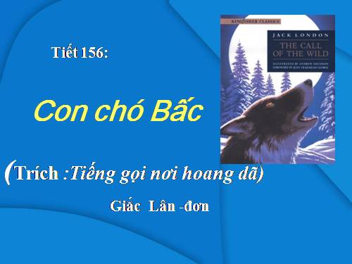 Bài 31. Con chó Bấc