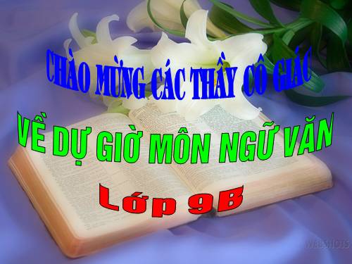 Bài 15. Chiếc lược ngà