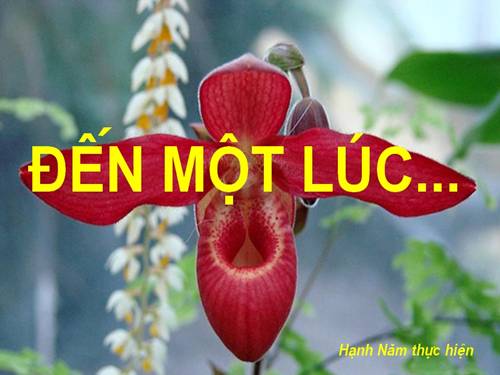 Rồi đến một lúc...