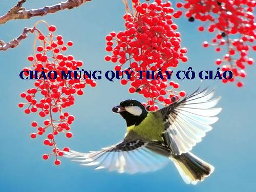 Bài 10. Bài thơ về tiểu đội xe không kính