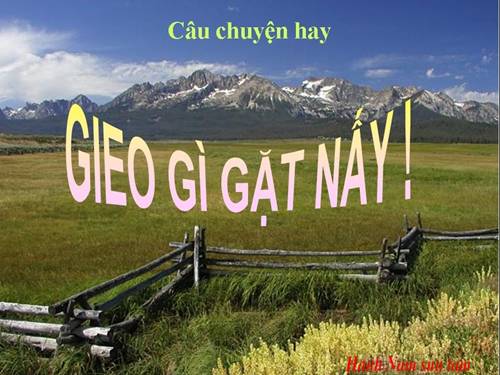 GIEO GÌ GẶT NẤY.