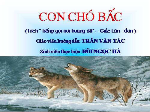 Bài 31. Con chó Bấc