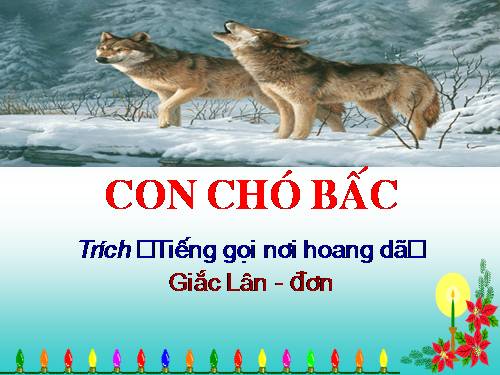 Bài 31. Con chó Bấc