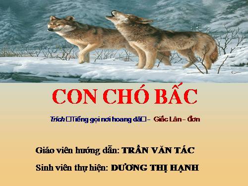 Bài 31. Con chó Bấc