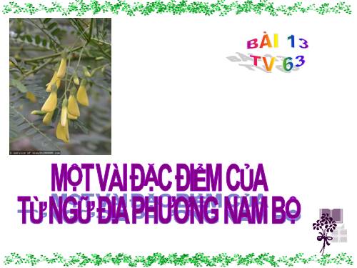 Bài 13. Chương trình địa phương (phần Tiếng Việt)